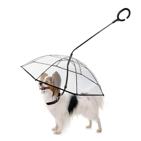 dog umbrellas