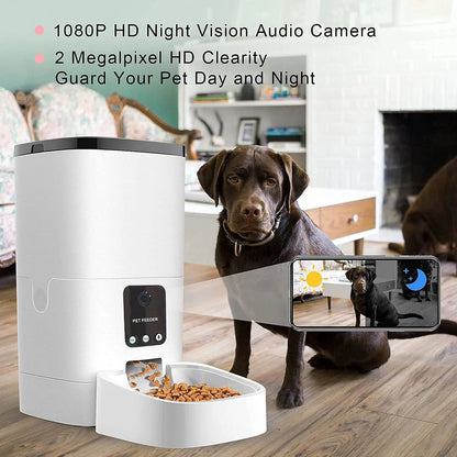 😻pet feeder6l automatic pet feeder🐶