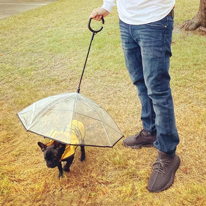 dog umbrellas