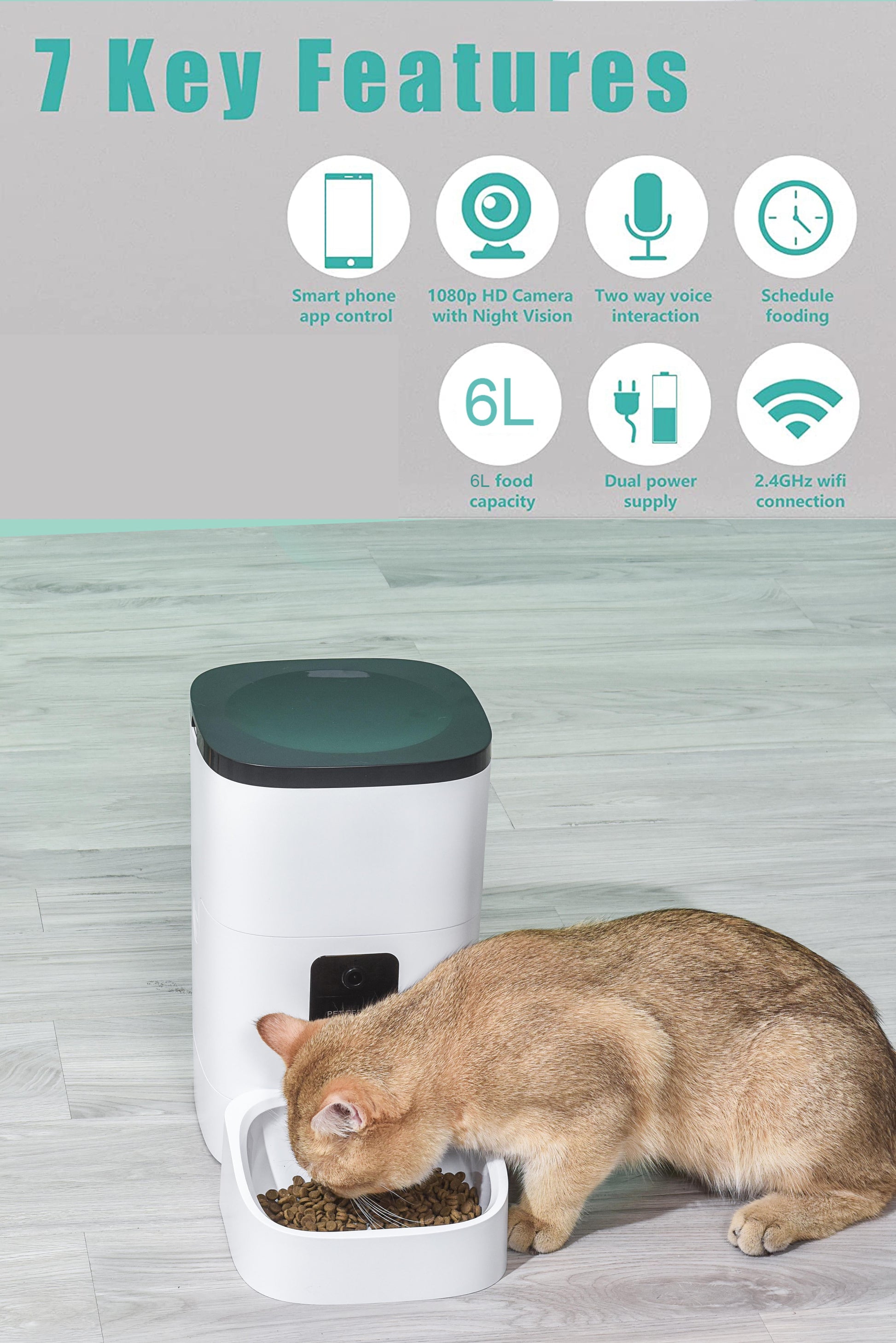 😻pet feeder6l automatic pet feeder🐶