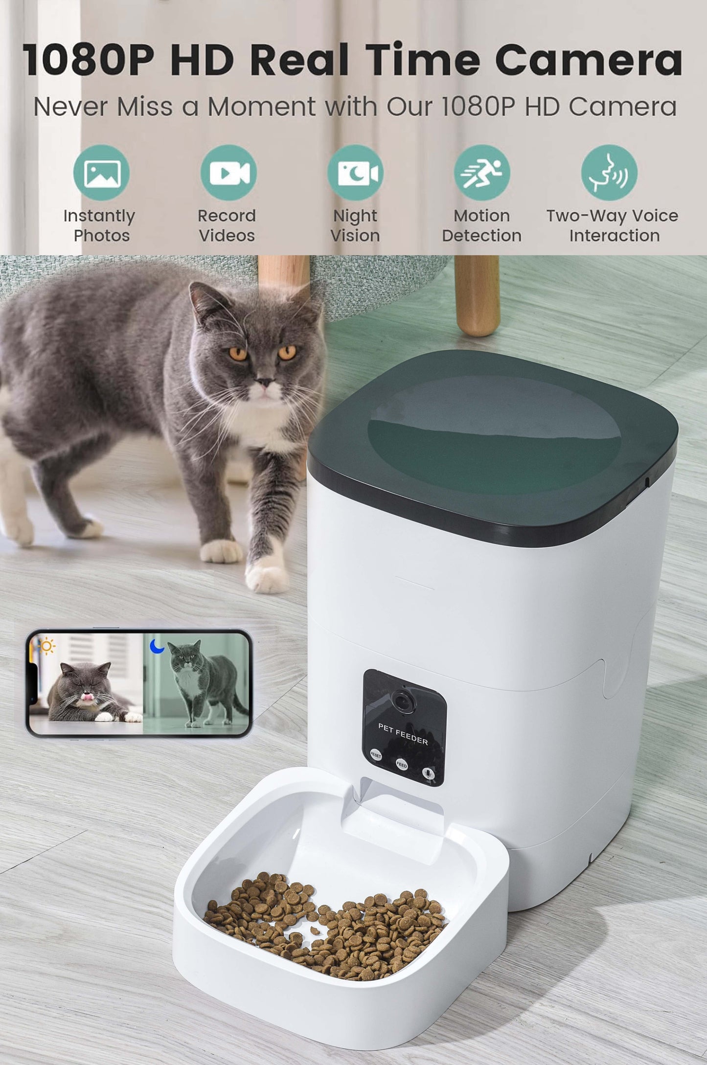 😻pet feeder6l automatic pet feeder🐶